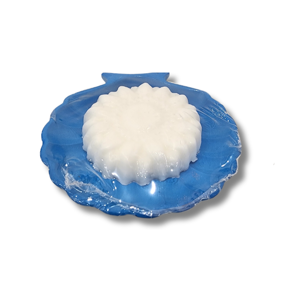 Handmade Island Soap and Shell Gift Set in Jamaica